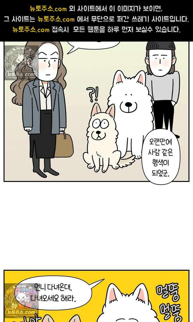 극한견주 시즌2 126화 코피리 부는 개 3