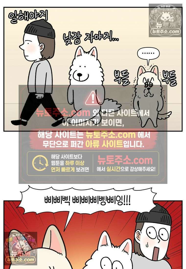 극한견주 시즌2 126화 코피리 부는 개 7
