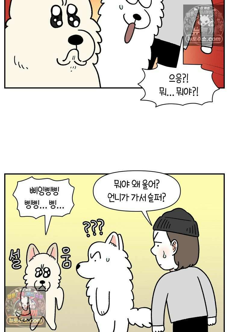 극한견주 시즌2 126화 코피리 부는 개 8