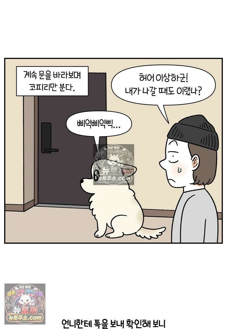 극한견주 시즌2 126화 코피리 부는 개 10