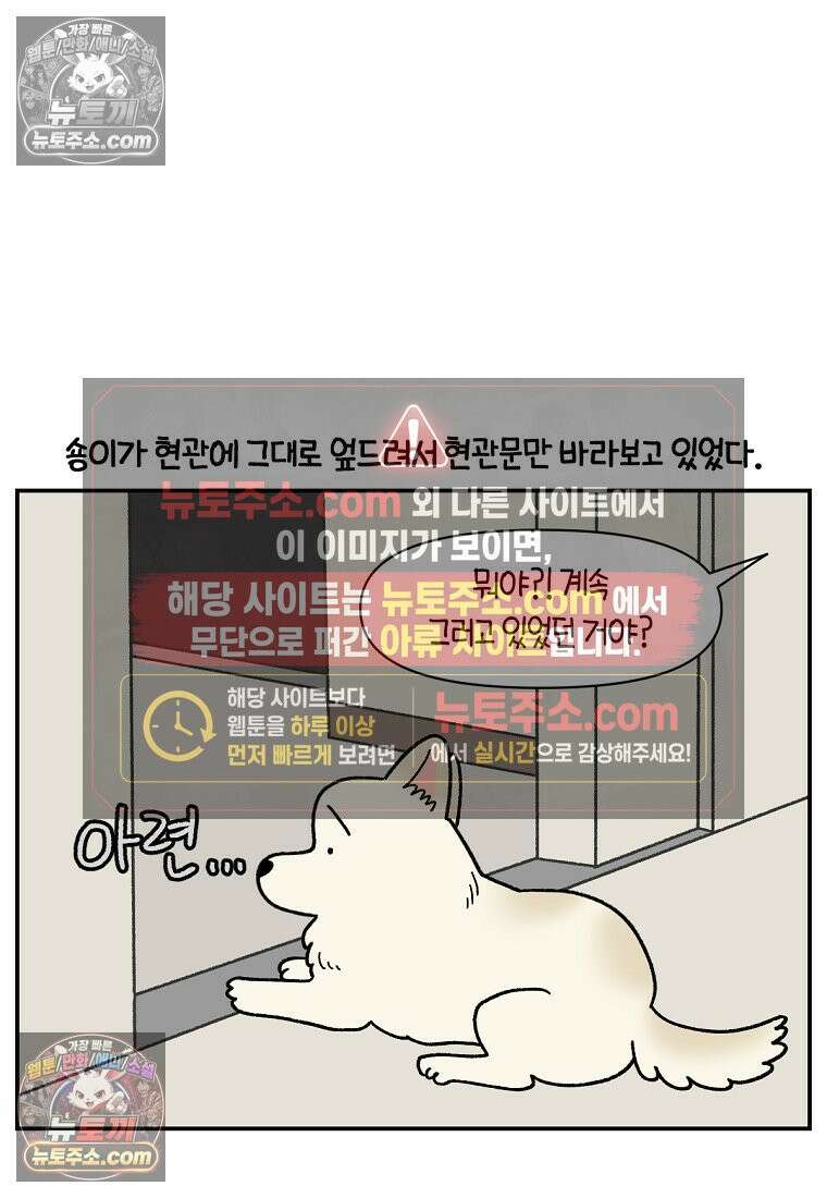 극한견주 시즌2 126화 코피리 부는 개 14