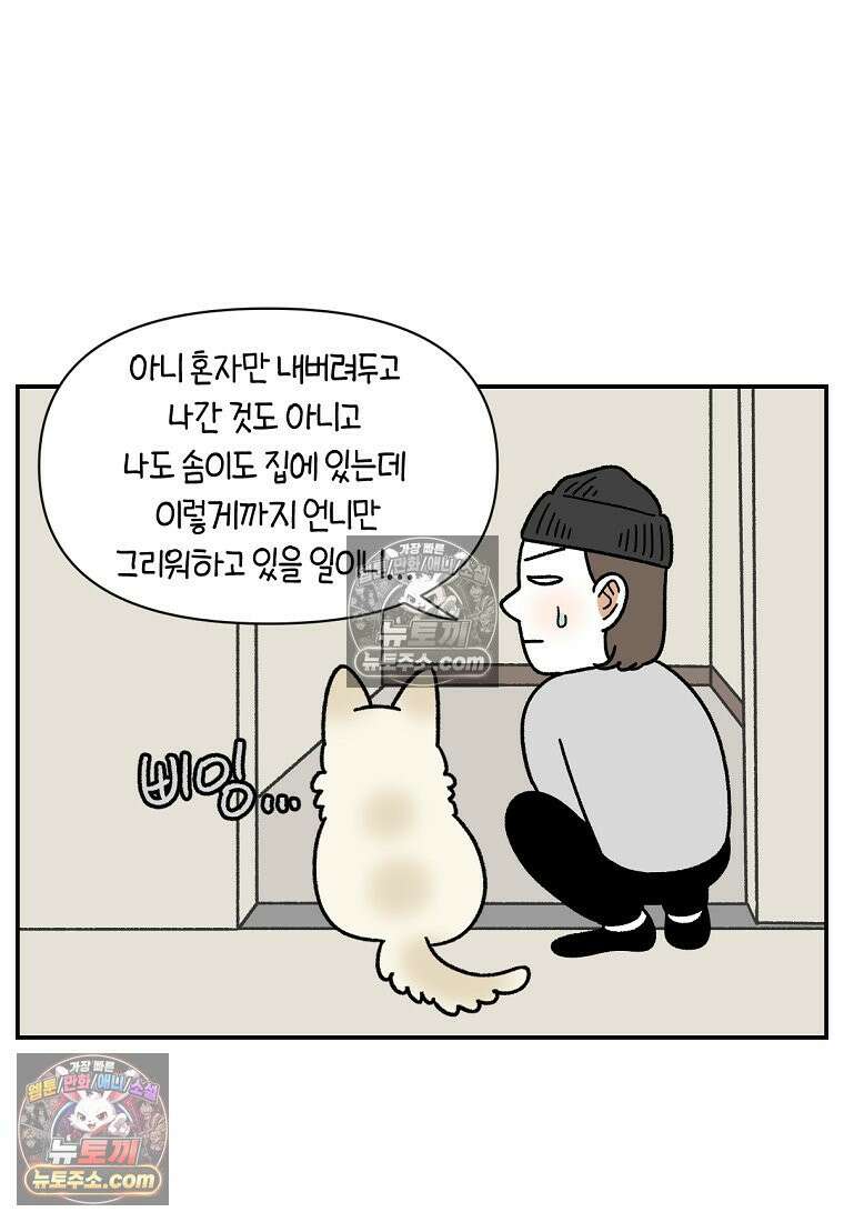 극한견주 시즌2 126화 코피리 부는 개 15