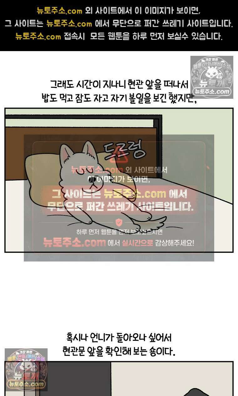 극한견주 시즌2 126화 코피리 부는 개 16