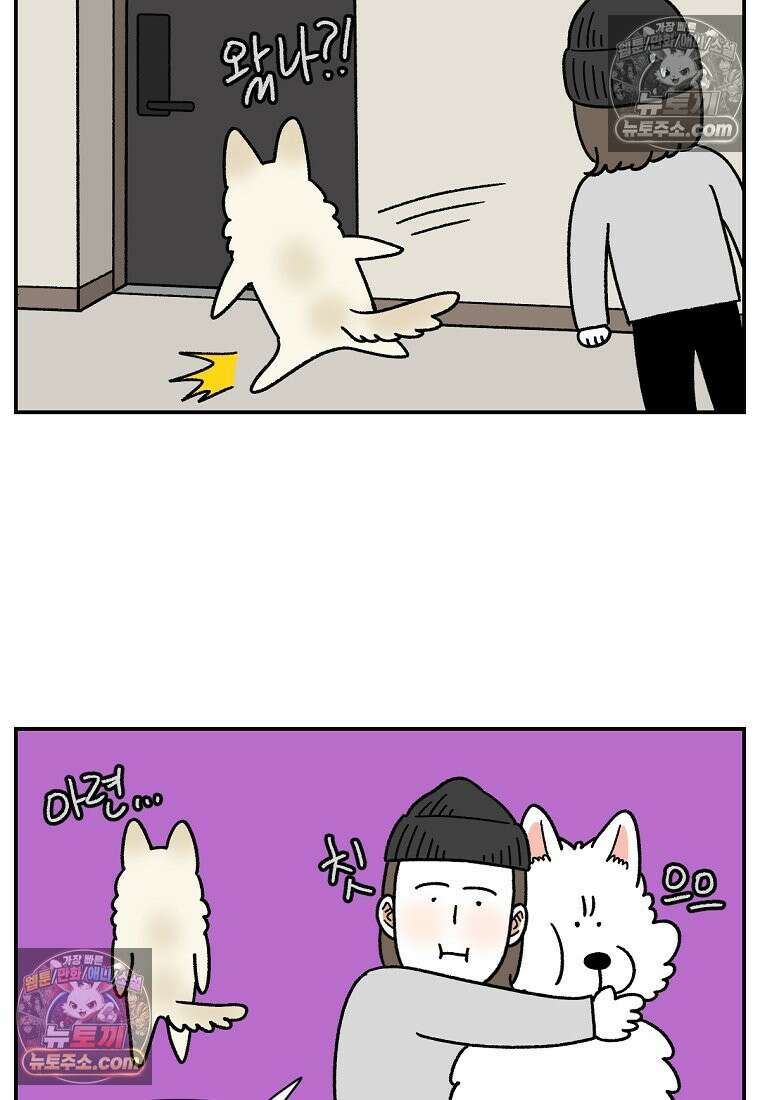 극한견주 시즌2 126화 코피리 부는 개 17