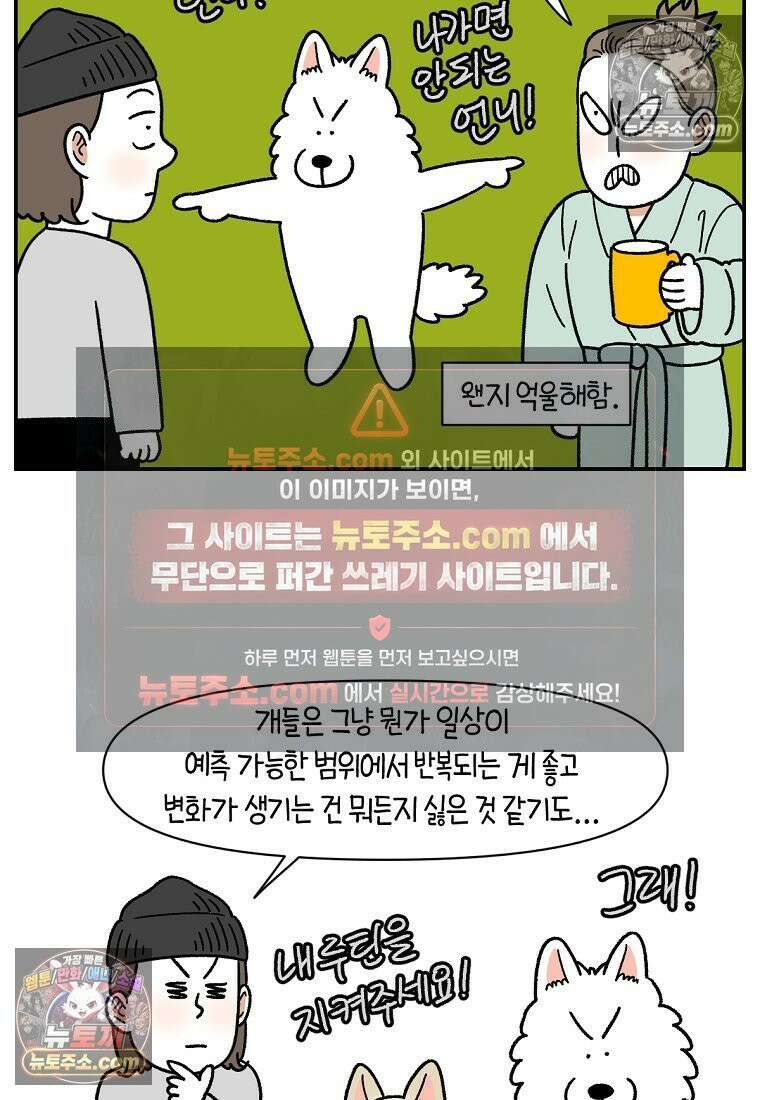 극한견주 시즌2 126화 코피리 부는 개 20