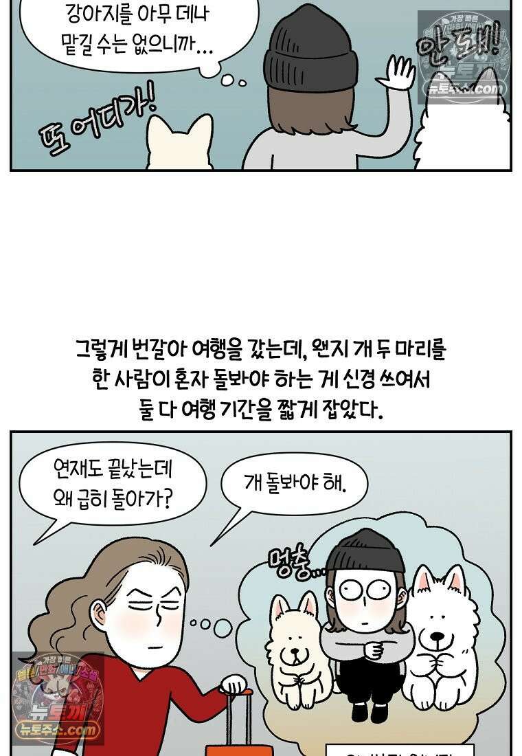 극한견주 시즌2 126화 코피리 부는 개 22