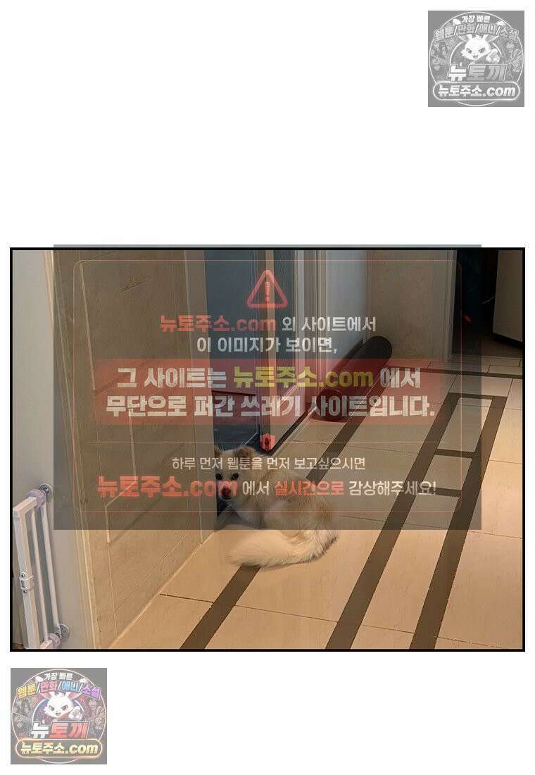 극한견주 시즌2 126화 코피리 부는 개 27