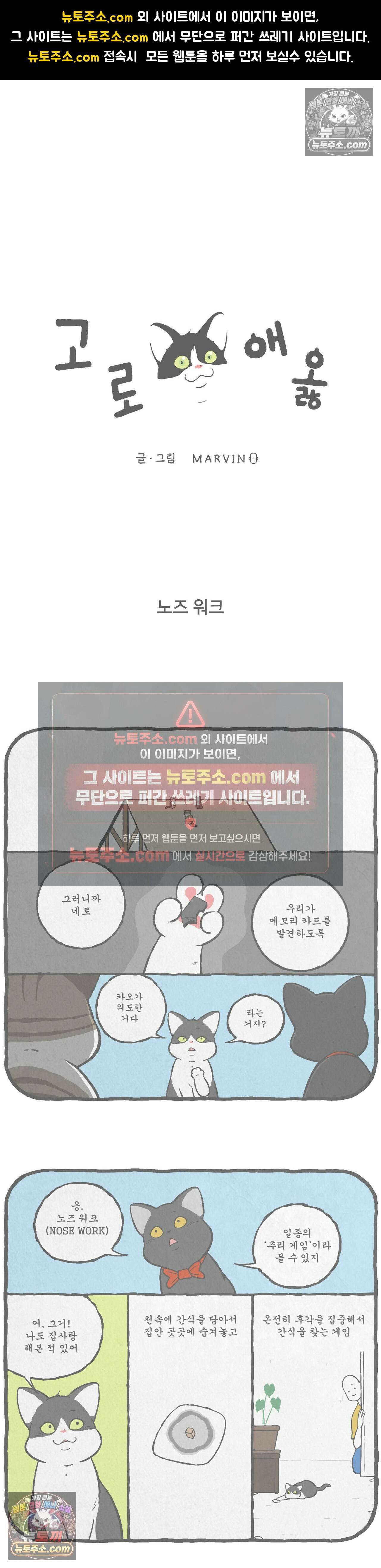 고로애옳 11화 1