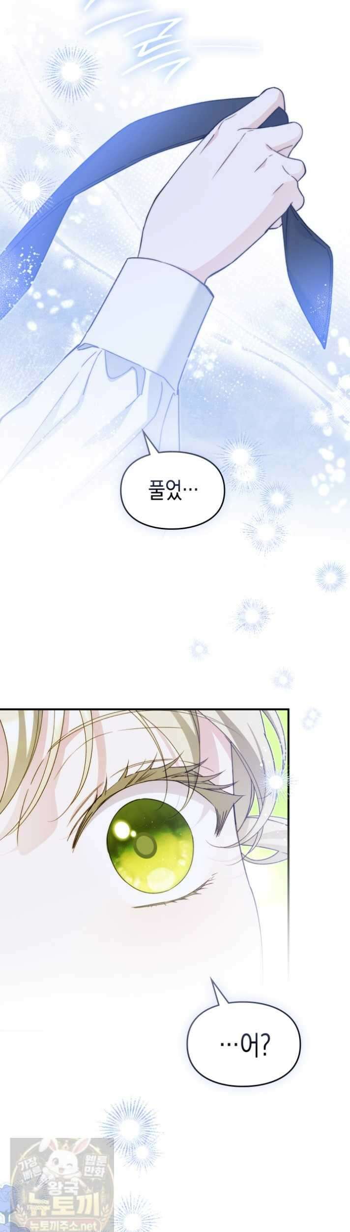 눈먼 공작과 약혼했다 45화 31