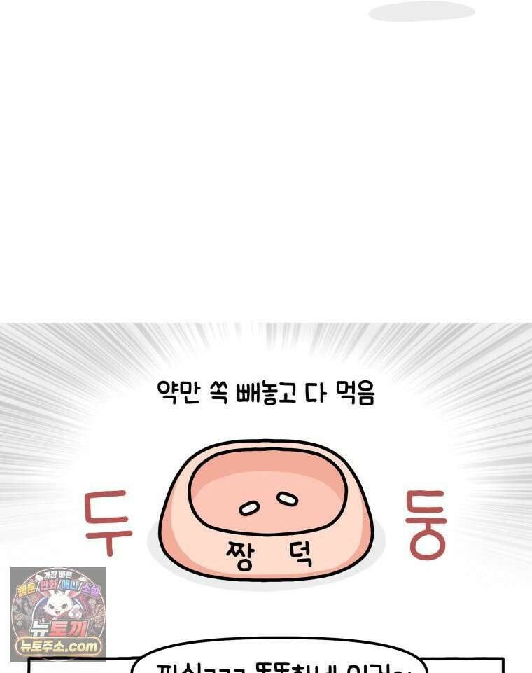 먼지 덩어리 짱덕 5． 약 먹어요 10