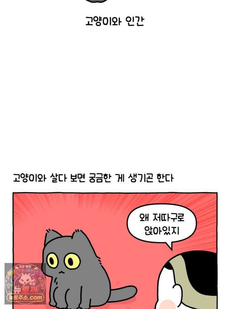 먼지 덩어리 짱덕 20． 고양이와 인간 2