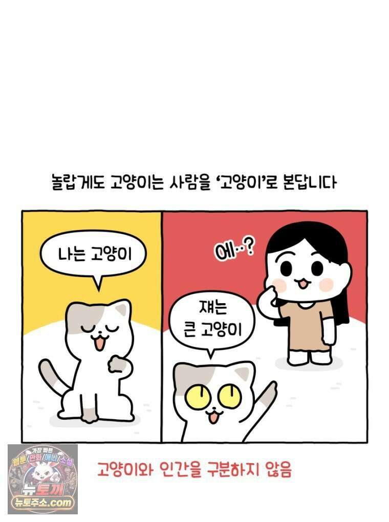 먼지 덩어리 짱덕 20． 고양이와 인간 10