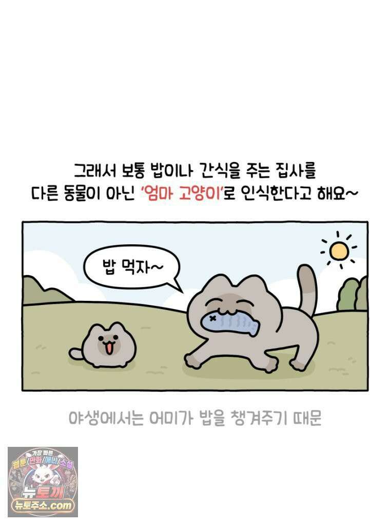 먼지 덩어리 짱덕 20． 고양이와 인간 11
