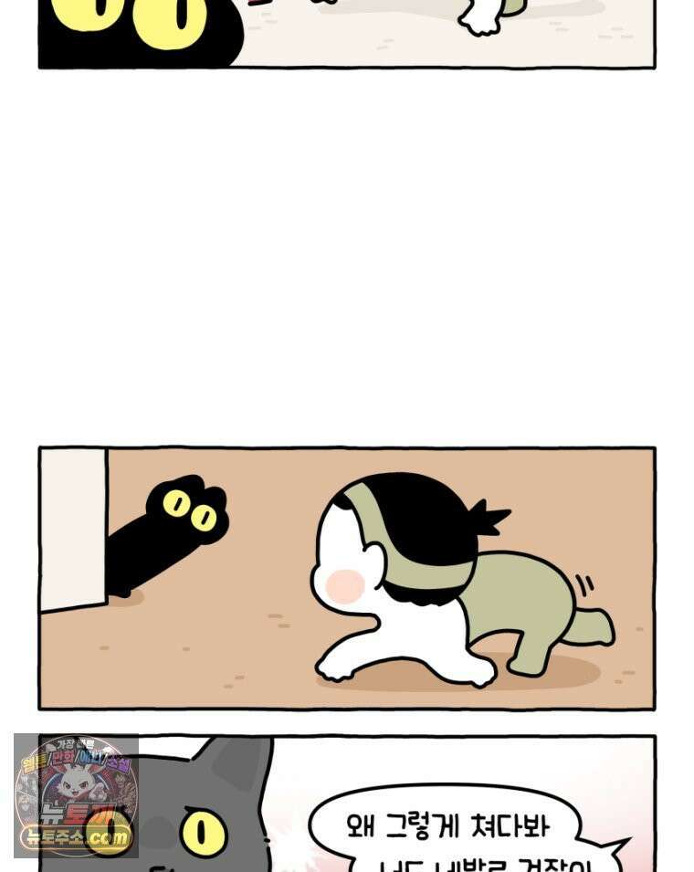 먼지 덩어리 짱덕 20． 고양이와 인간 18