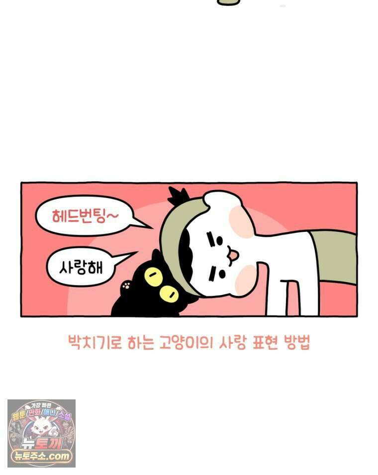 먼지 덩어리 짱덕 20． 고양이와 인간 20
