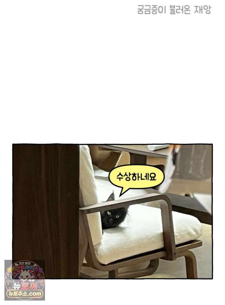 먼지 덩어리 짱덕 20． 고양이와 인간 28
