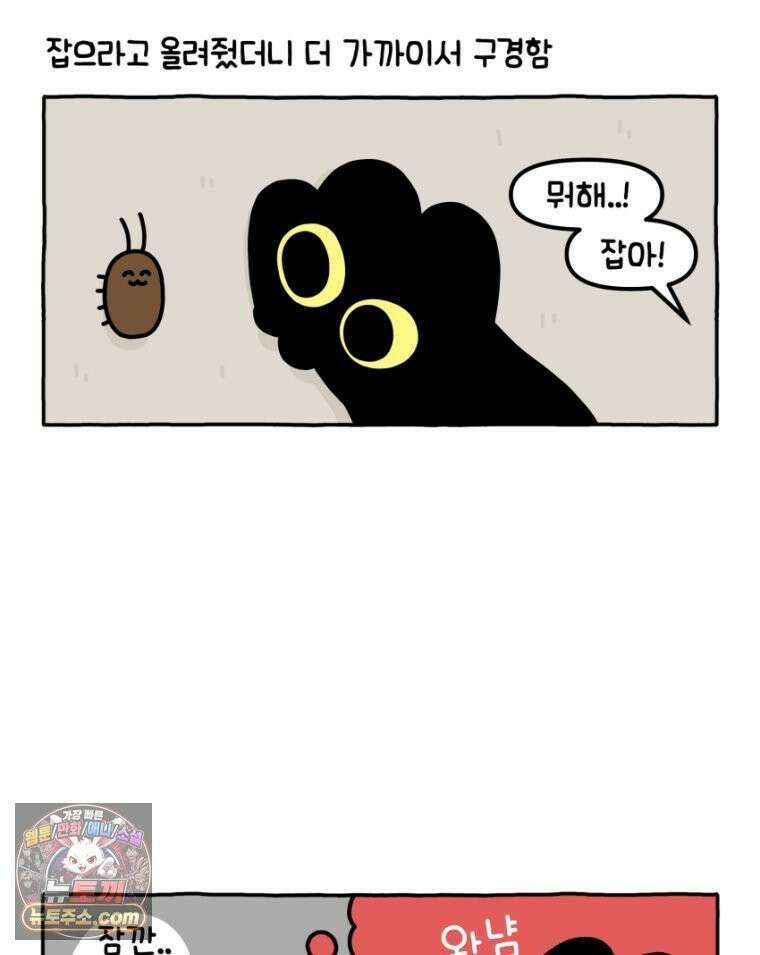 먼지 덩어리 짱덕 35． 소름 돋는 날 9