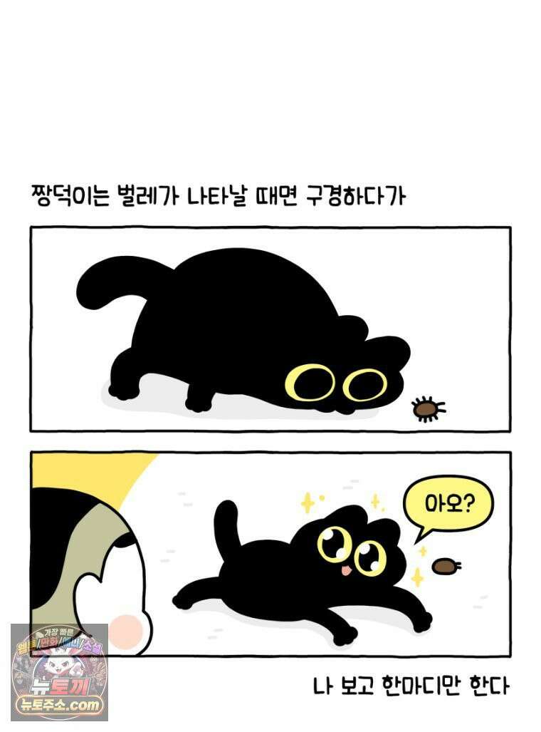 먼지 덩어리 짱덕 35． 소름 돋는 날 21