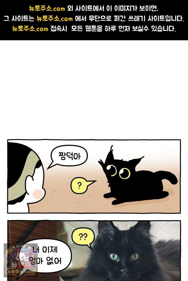 먼지 덩어리 짱덕 42． 엄마가 없어 1