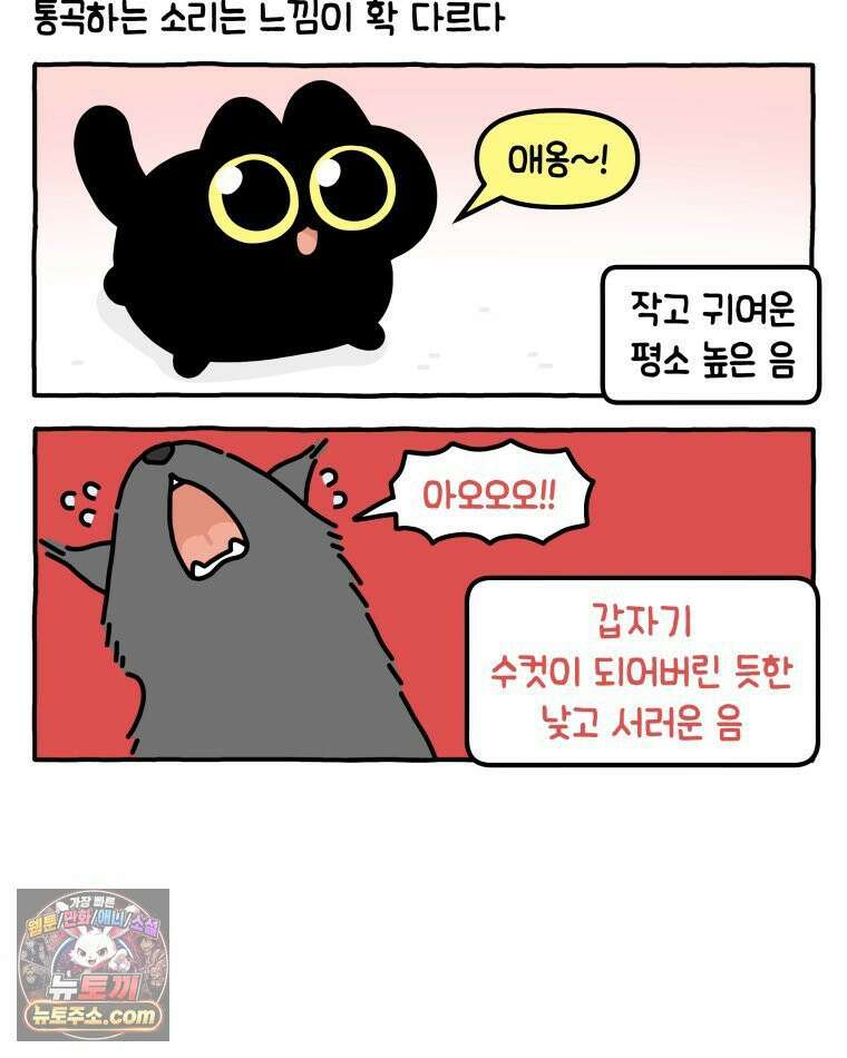 먼지 덩어리 짱덕 42． 엄마가 없어 10
