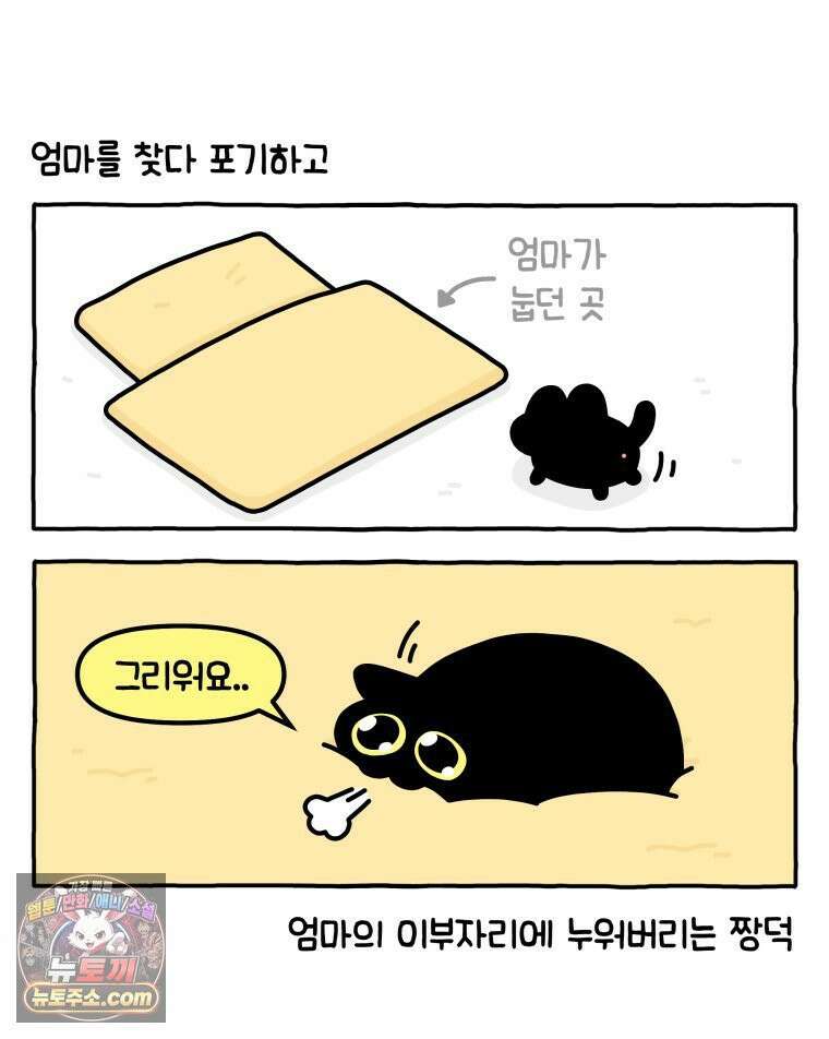 먼지 덩어리 짱덕 42． 엄마가 없어 16