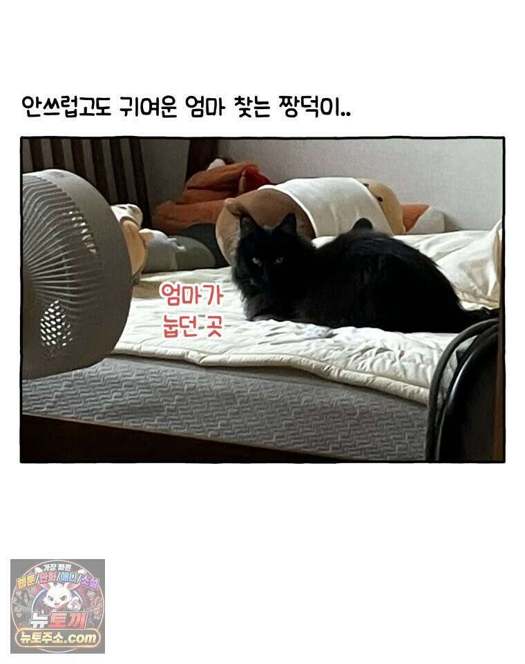 먼지 덩어리 짱덕 42． 엄마가 없어 31