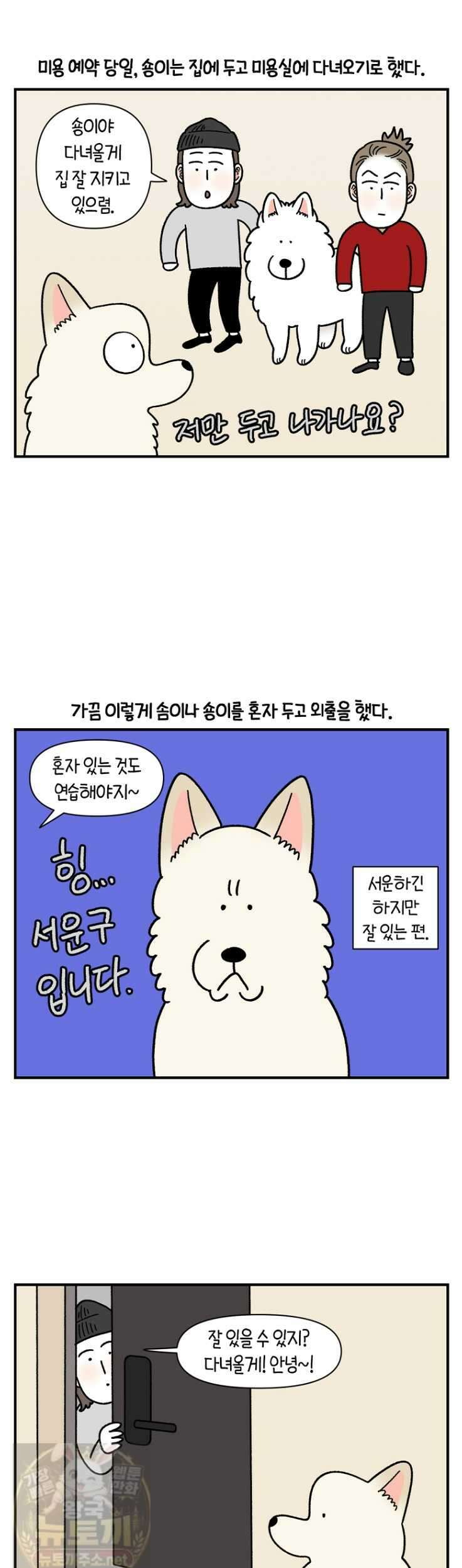 극한견주 시즌2 131화 3