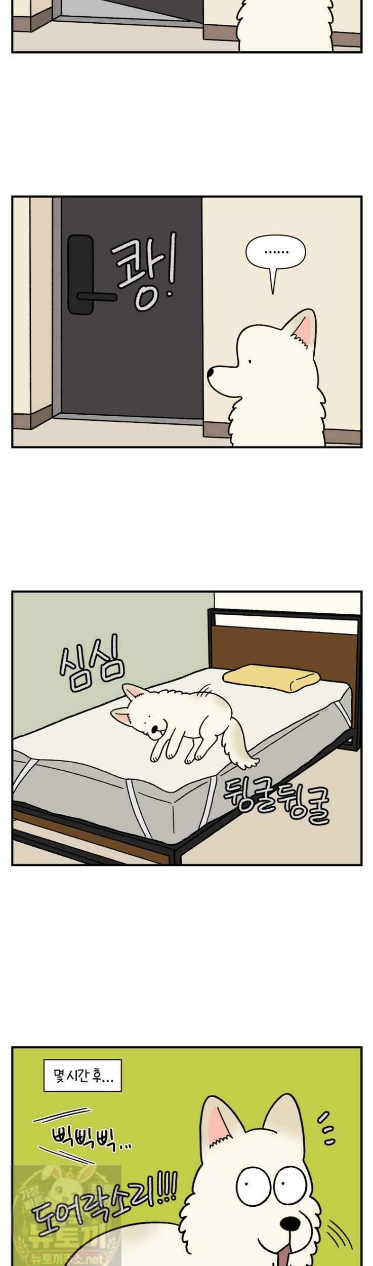 극한견주 시즌2 131화 4