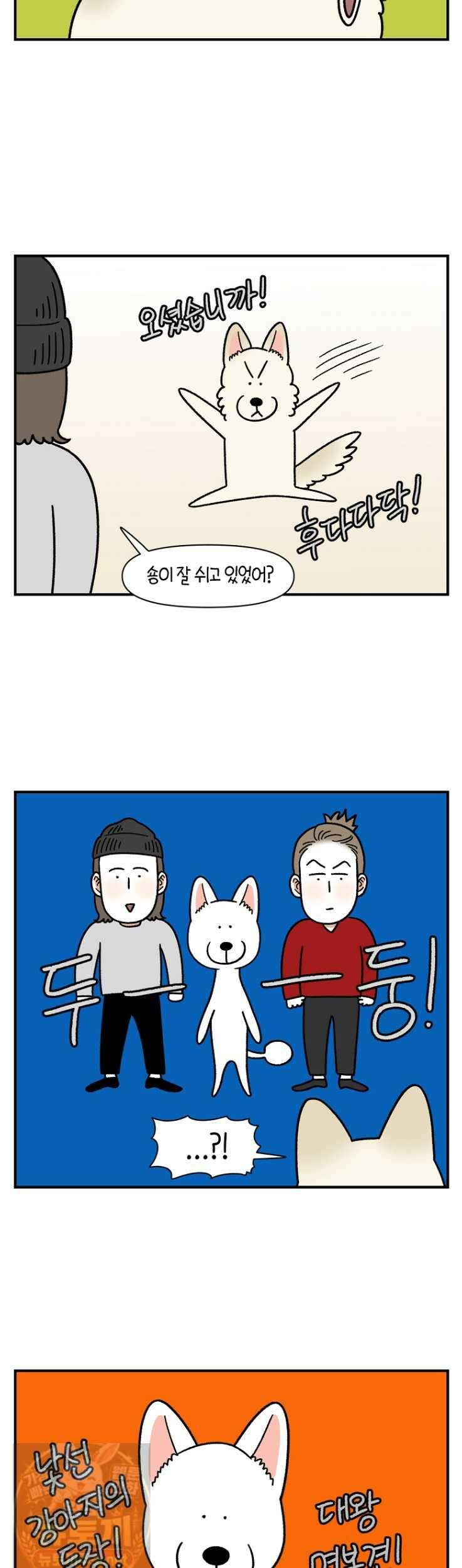 극한견주 시즌2 131화 5