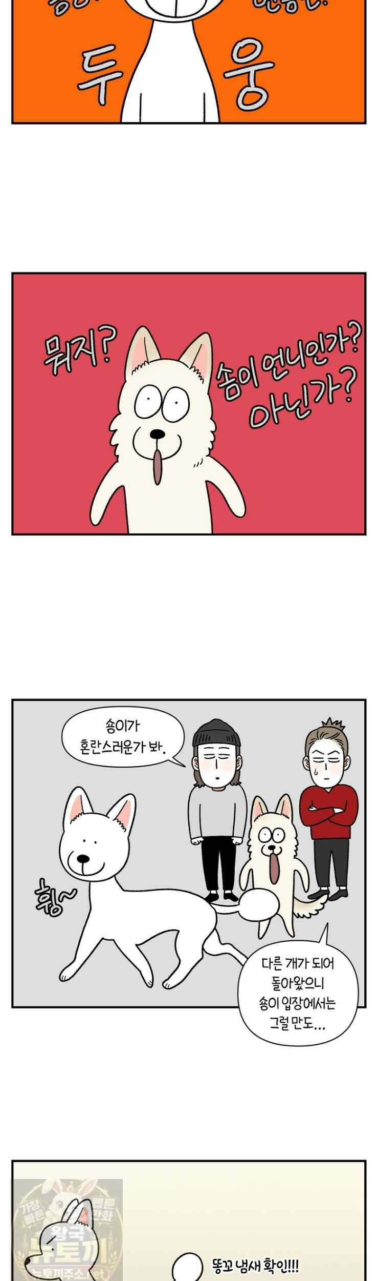 극한견주 시즌2 131화 6