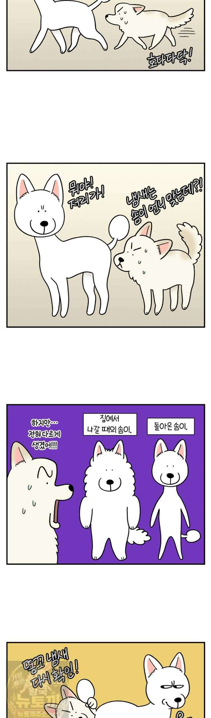 극한견주 시즌2 131화 7