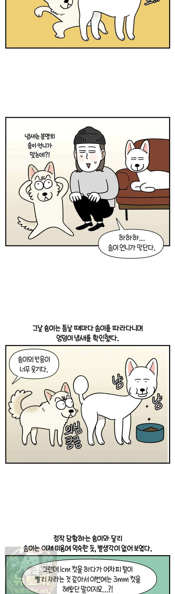 극한견주 시즌2 131화 8