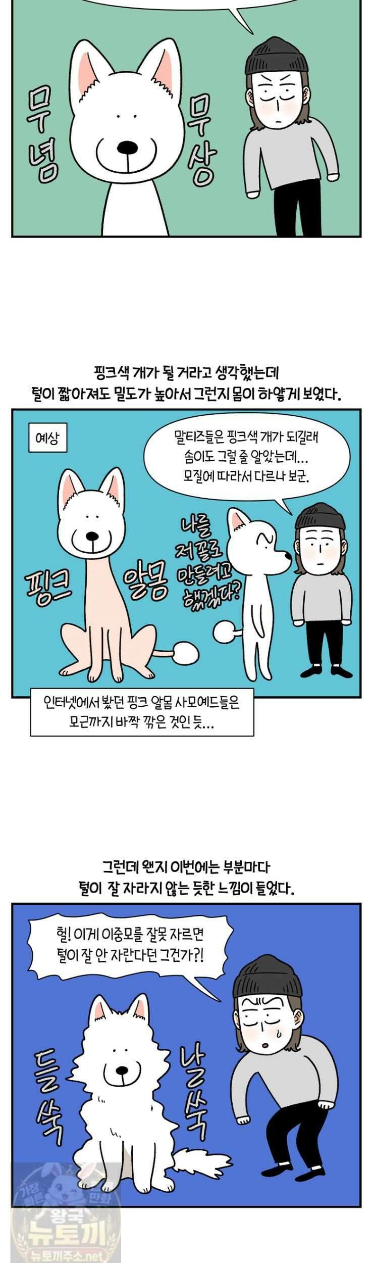 극한견주 시즌2 131화 9