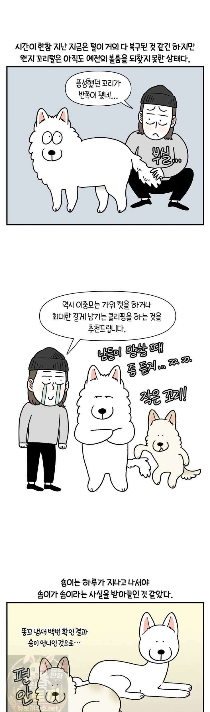 극한견주 시즌2 131화 10