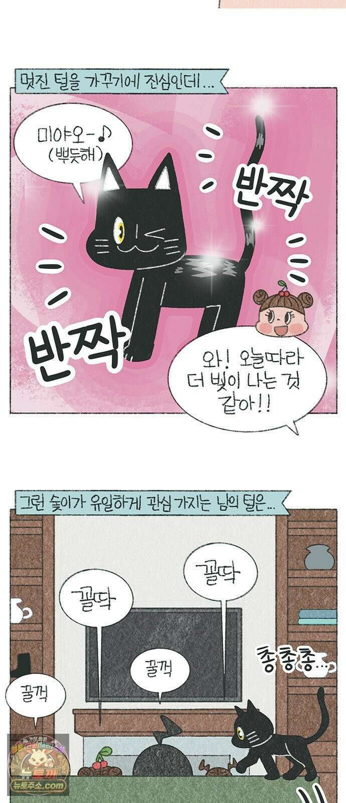 마님이네 미국 시골집 이야기 246화 숯이의 간택 2