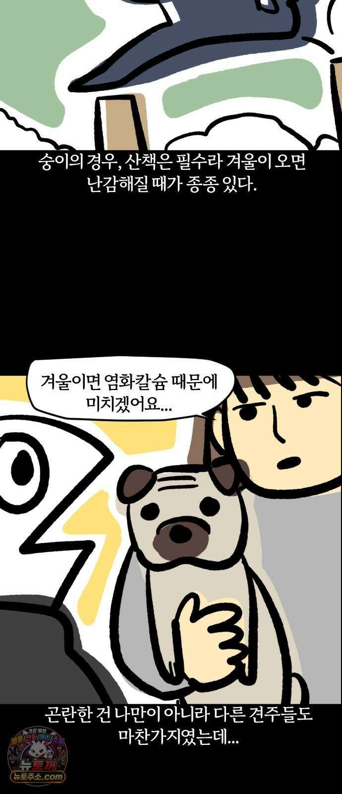 개집사 163화: 밟으면 안돼! 12