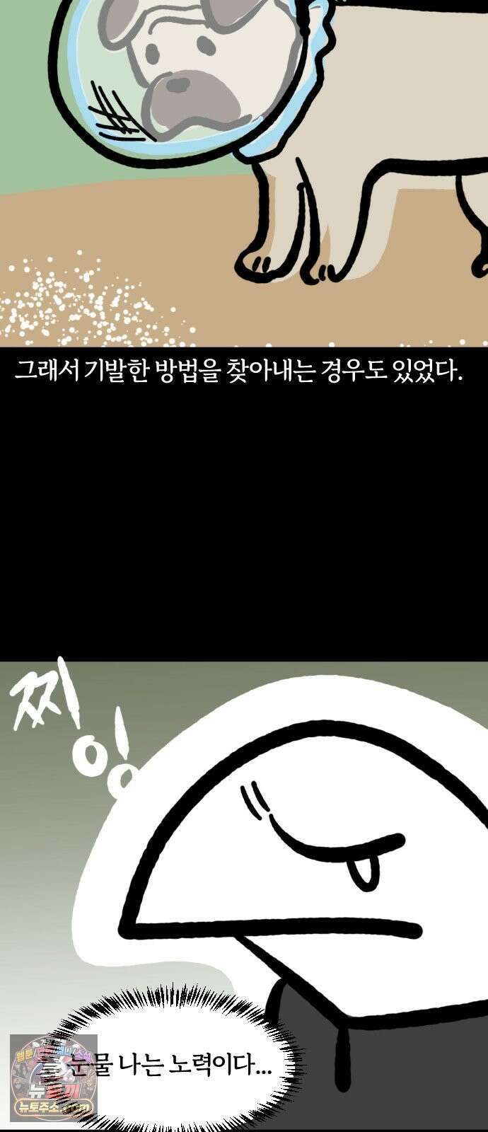 개집사 163화: 밟으면 안돼! 14