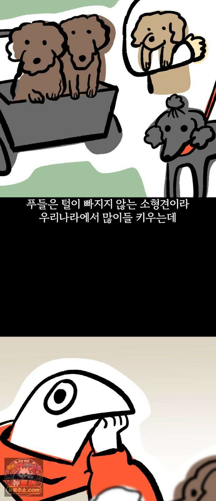 개집사 170화: 알바 일지?견종 특집?-푸들편 4