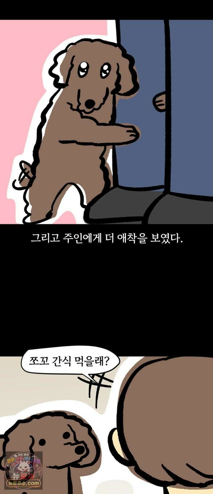 개집사 170화: 알바 일지?견종 특집?-푸들편 6