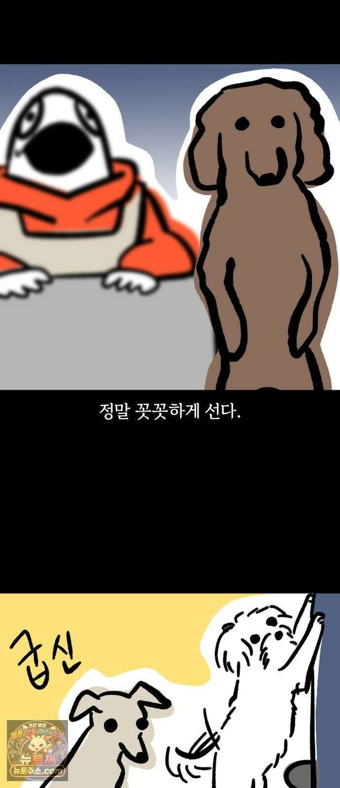 개집사 170화: 알바 일지?견종 특집?-푸들편 8