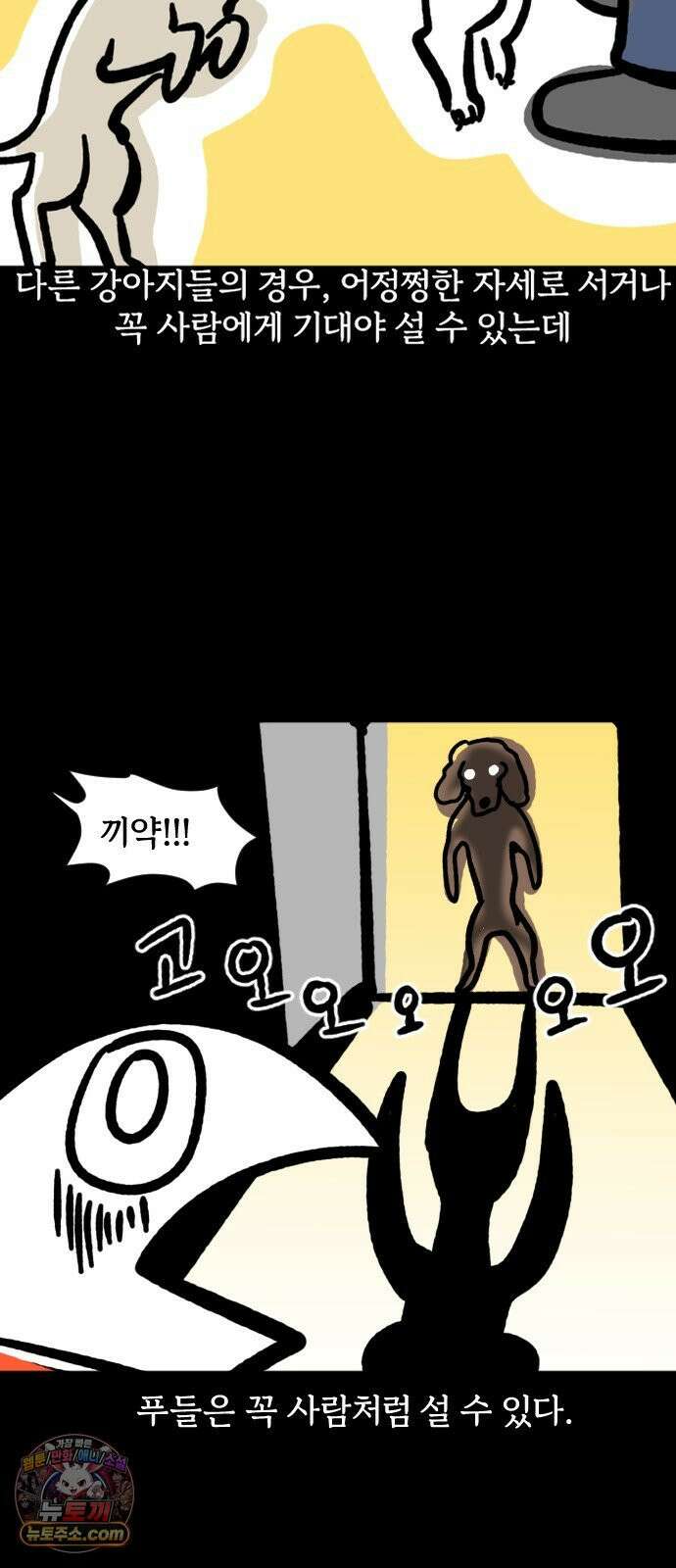 개집사 170화: 알바 일지?견종 특집?-푸들편 9