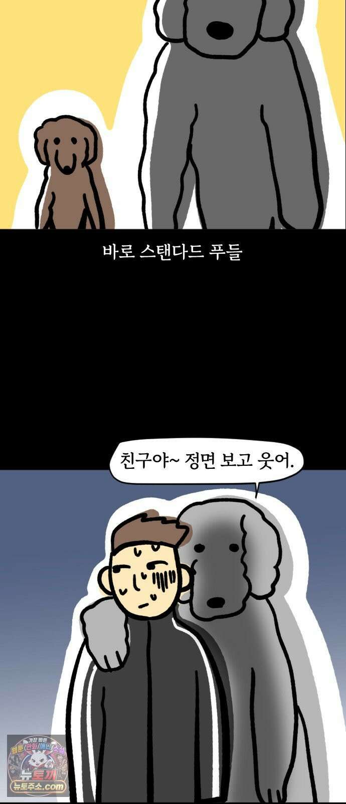 개집사 170화: 알바 일지?견종 특집?-푸들편 11