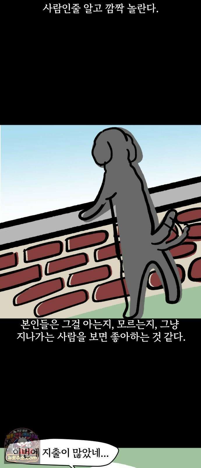 개집사 170화: 알바 일지?견종 특집?-푸들편 14