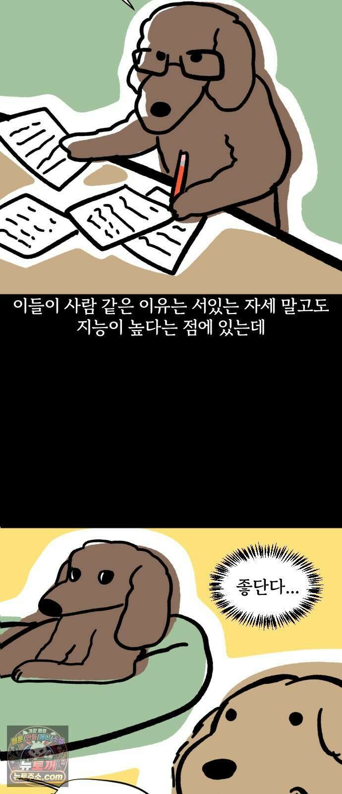 개집사 170화: 알바 일지?견종 특집?-푸들편 15