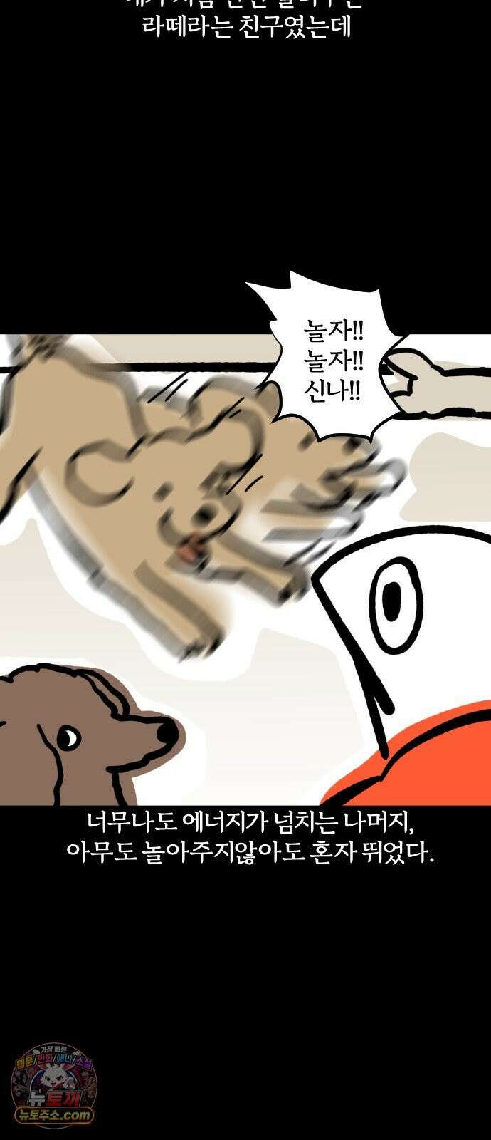 개집사 177화: 돌아온 견종 특집-말티푸편 6