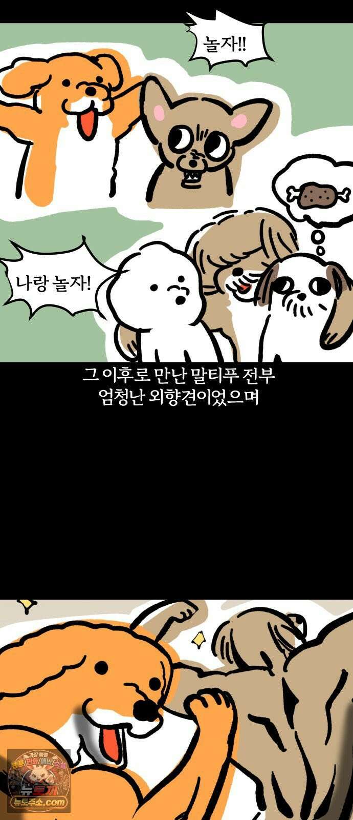개집사 177화: 돌아온 견종 특집-말티푸편 7