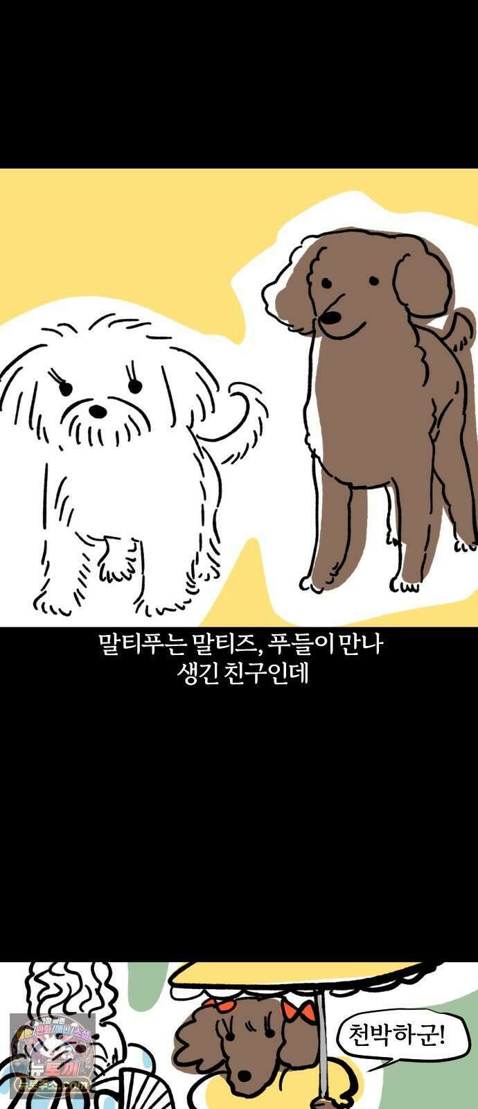 개집사 177화: 돌아온 견종 특집-말티푸편 9