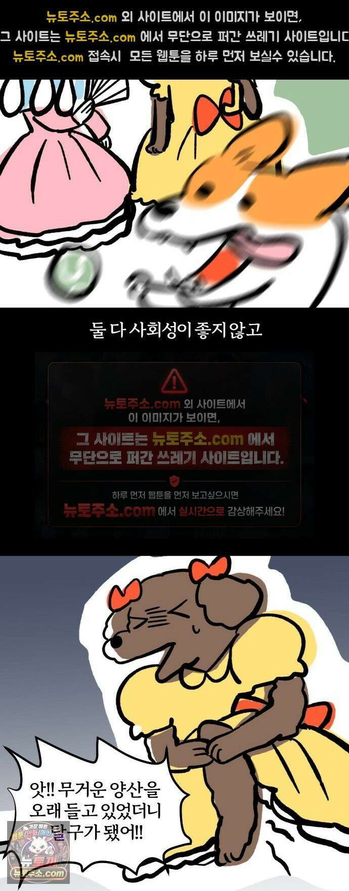 개집사 177화: 돌아온 견종 특집-말티푸편 10
