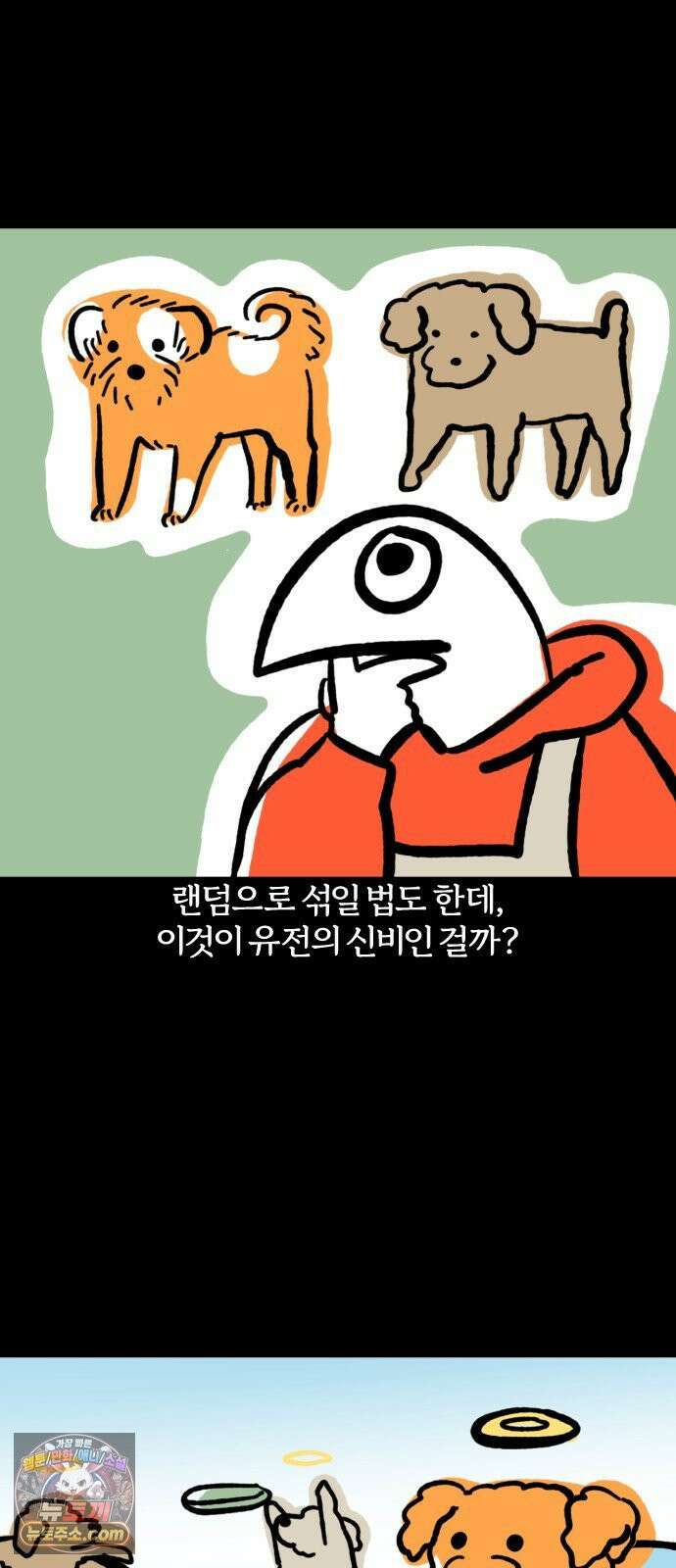 개집사 177화: 돌아온 견종 특집-말티푸편 14