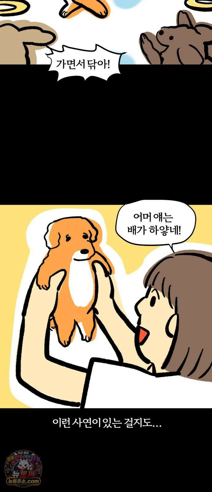 개집사 177화: 돌아온 견종 특집-말티푸편 18